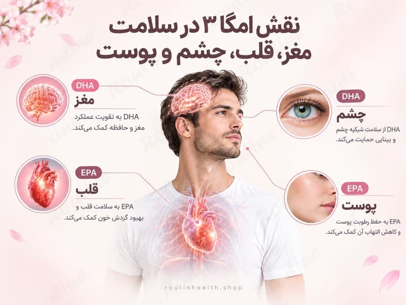 اینفوگرافیک نقش امگا ۳ در مغز، قلب، چشم و پوست